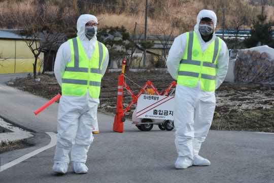 전북 정읍의 한 한우농가에서 구제역 의심 신고가 접수되자 6일 오후 정읍시 산내면 해당 농장 주변에서 방역당국 관계자들이 마을 출입을 통제하고 있다. 연합뉴스
